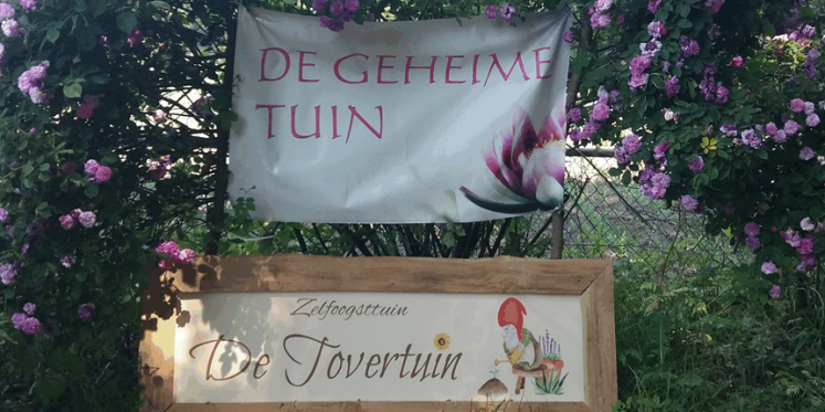 Foto: Een eeuwenoud geheim bloeit opnieuw in Epe