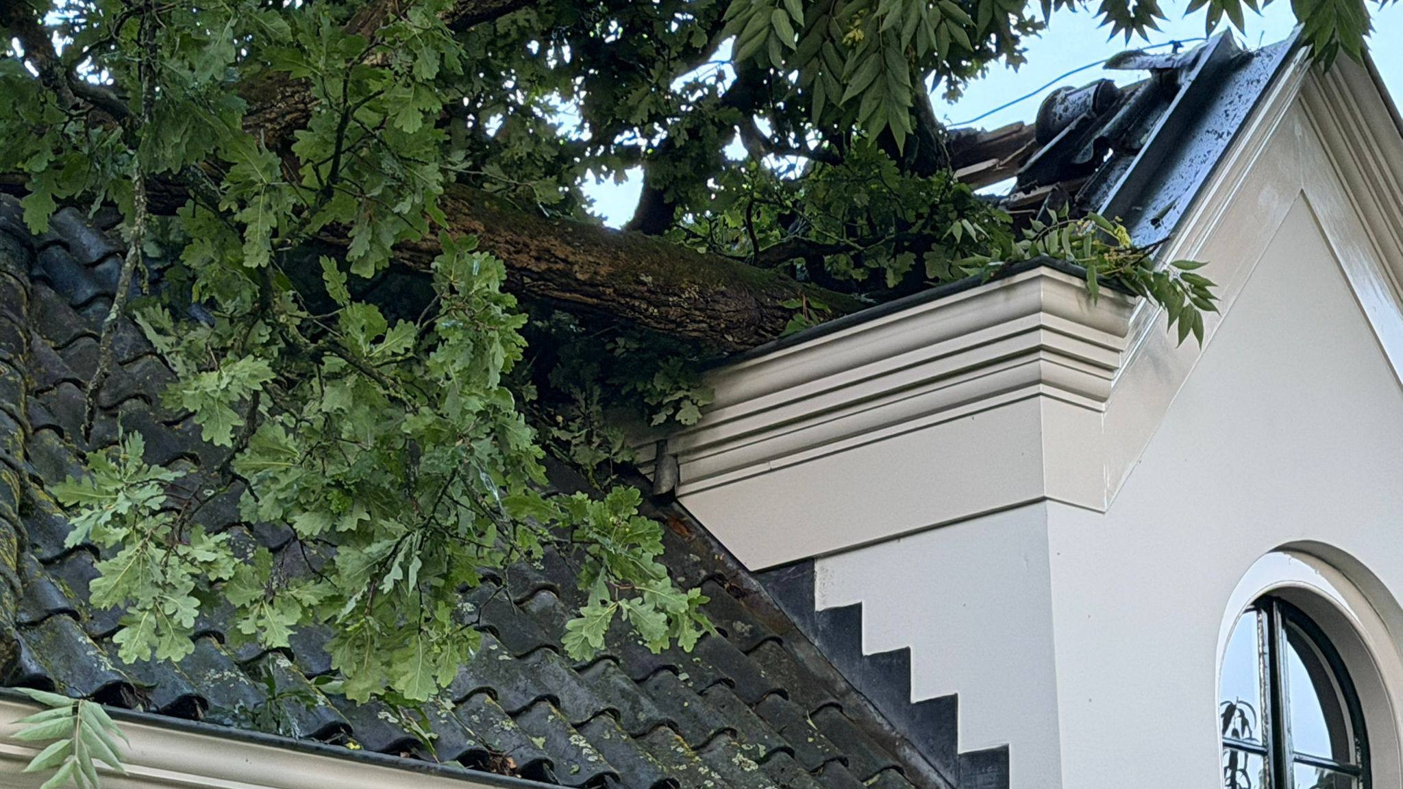 Foto: Ontwortelde boom valt op bijgebouw Kasteel Staverden