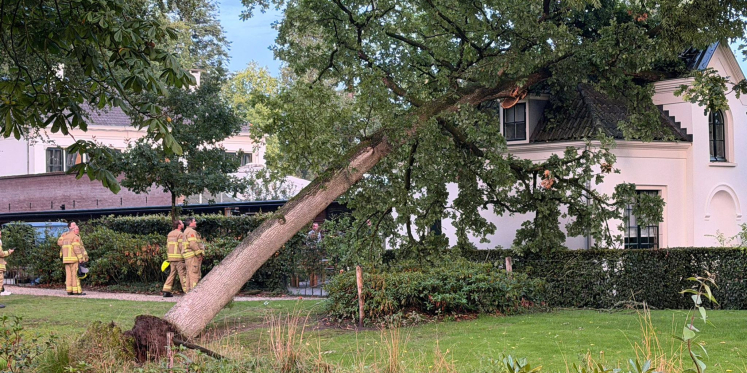 Foto: Ontwortelde boom valt op bijgebouw Kasteel Staverden