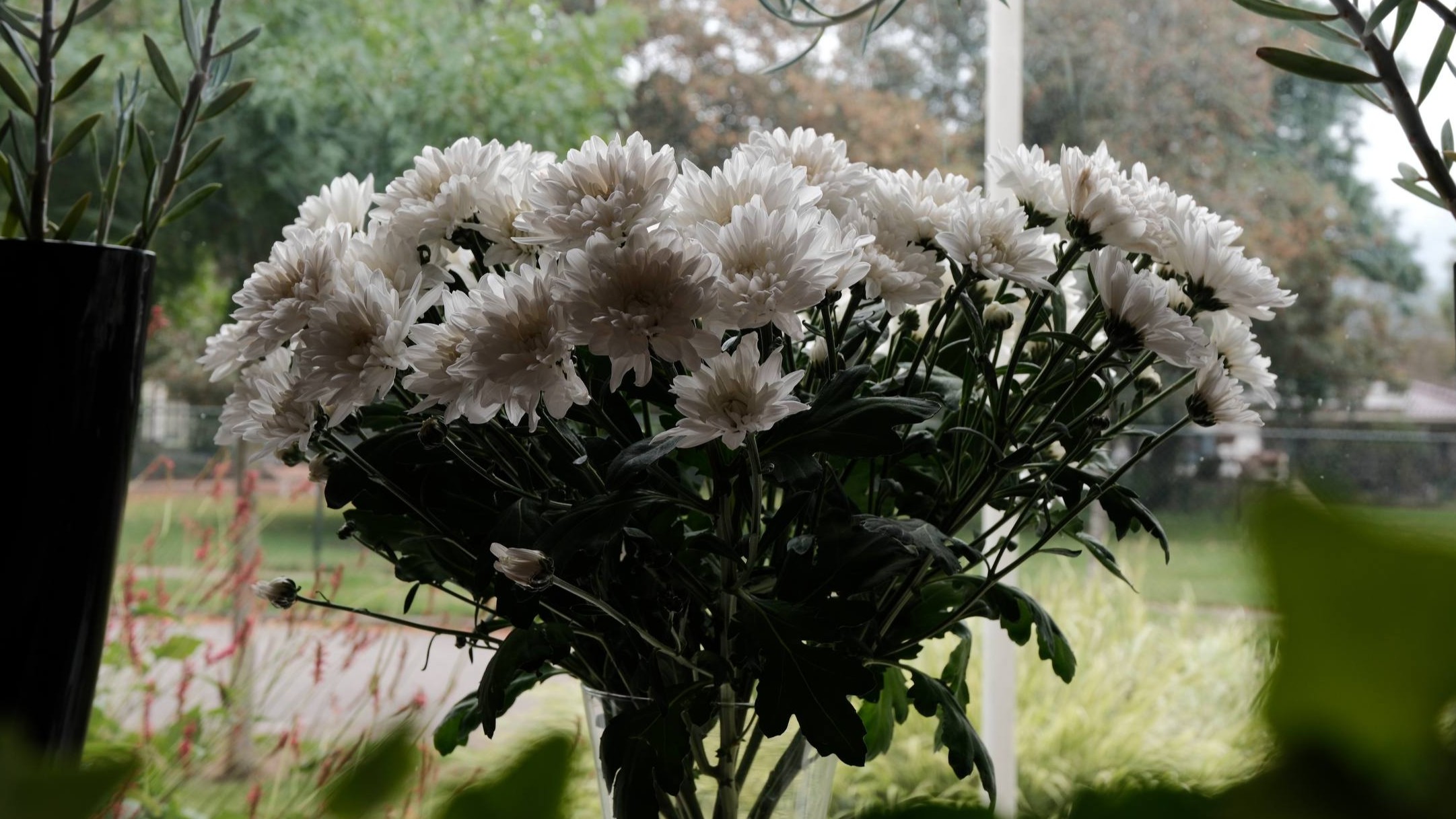 Foto: Duizenden bloemen leveren Muziekvereniging Harmonie Nunspeet twee nieuwe klarinetten op