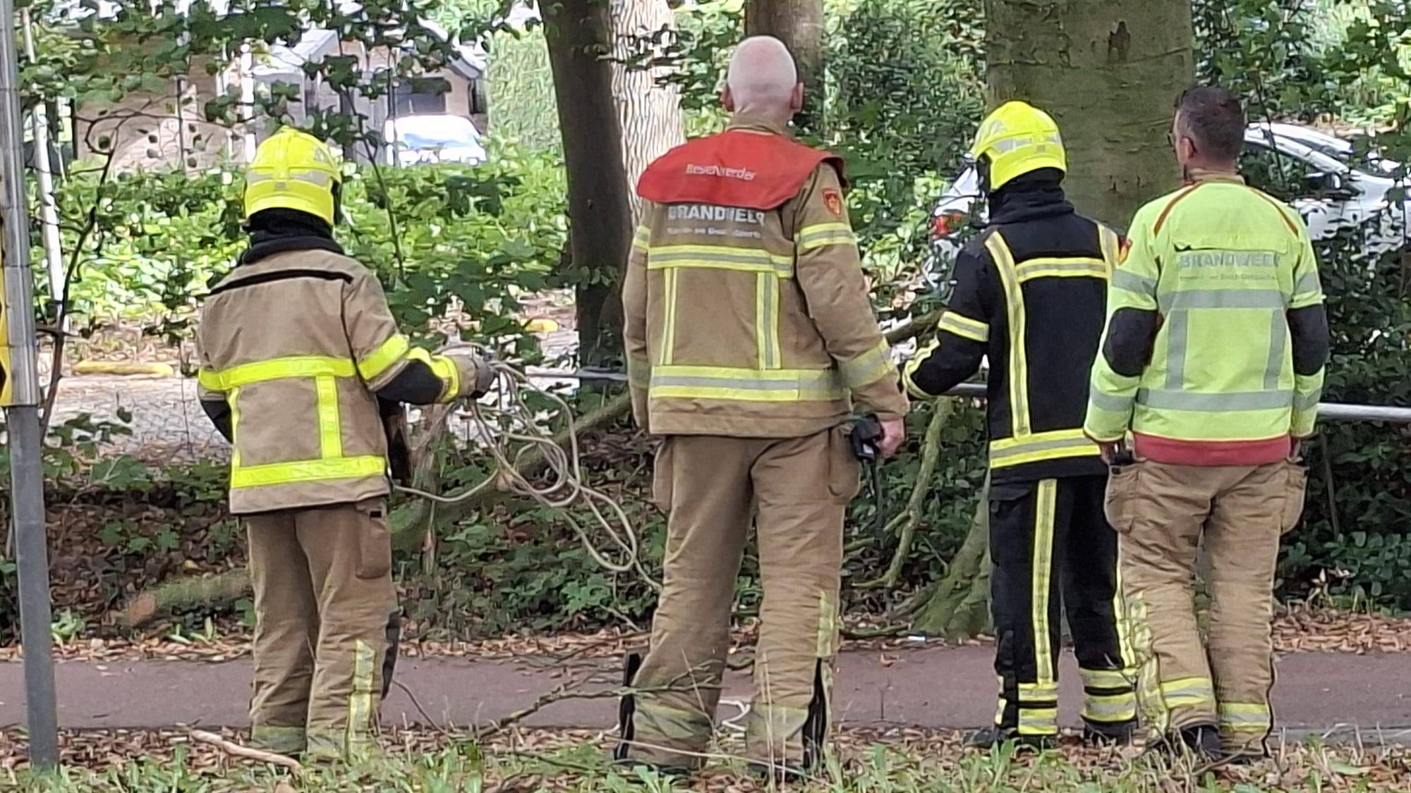Foto: Brandweer in aktie voor gevaarlijke tak