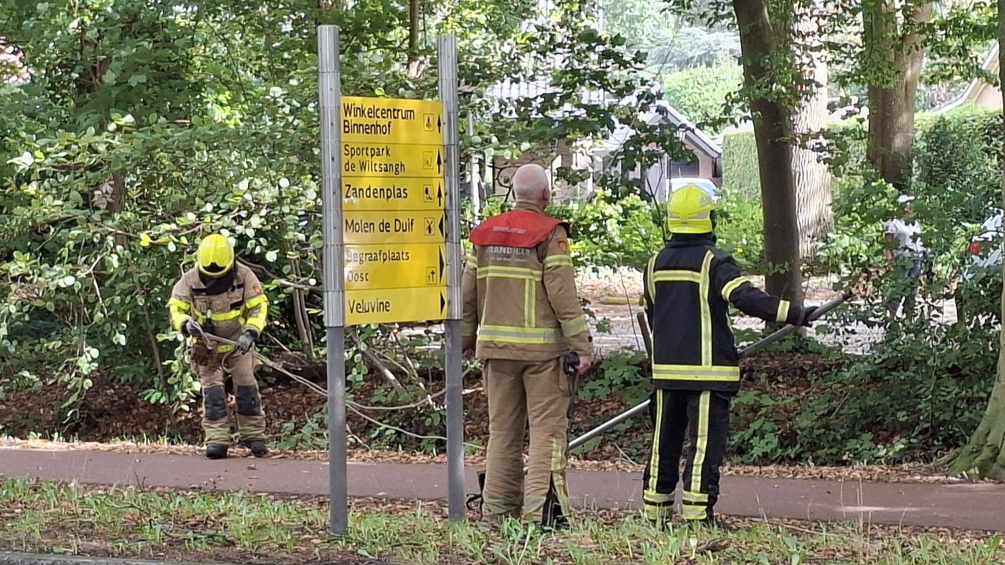 Foto: Brandweer in aktie voor gevaarlijke tak