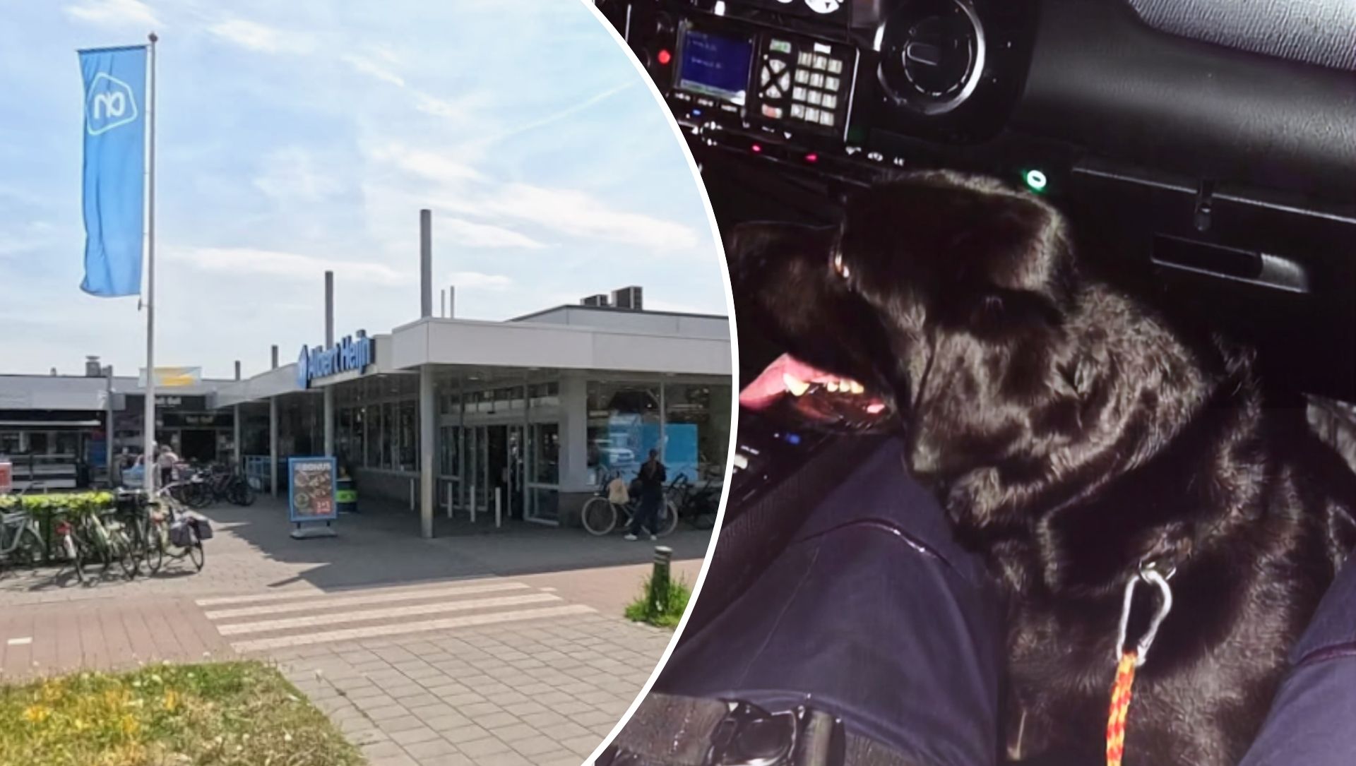 Foto: Hond ‘wil boodschappen doen’ en belandt vervolgens in politieauto