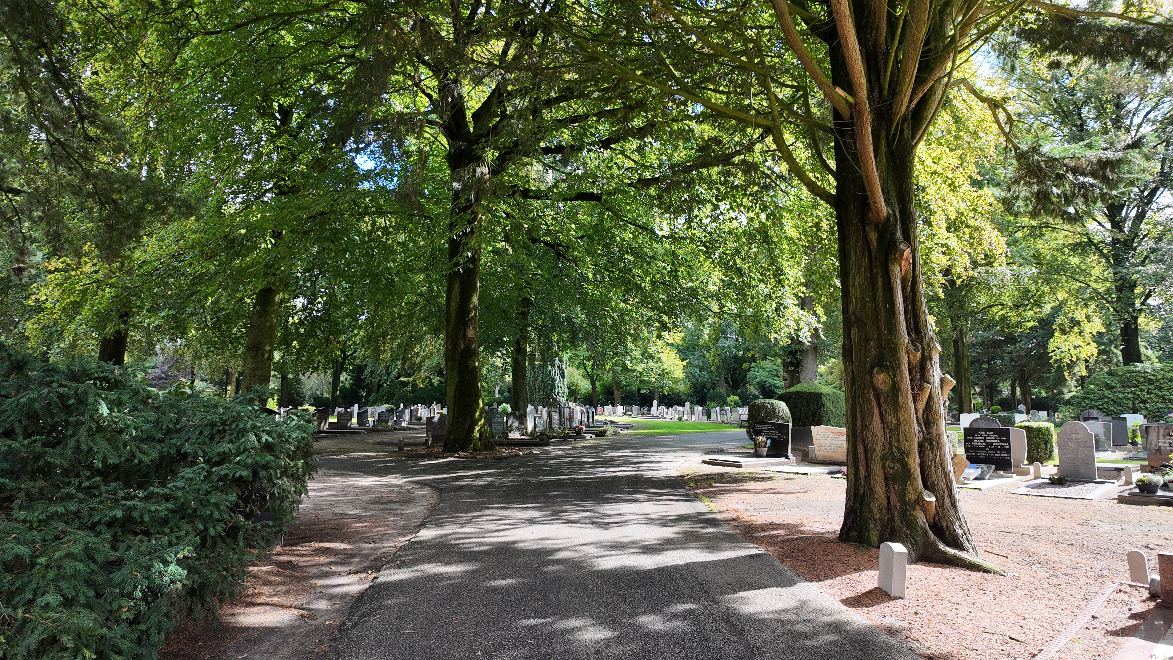 Foto: Open dag laat andere kant van begraafplaats zien: ‘Juist een plek voor de levenden’