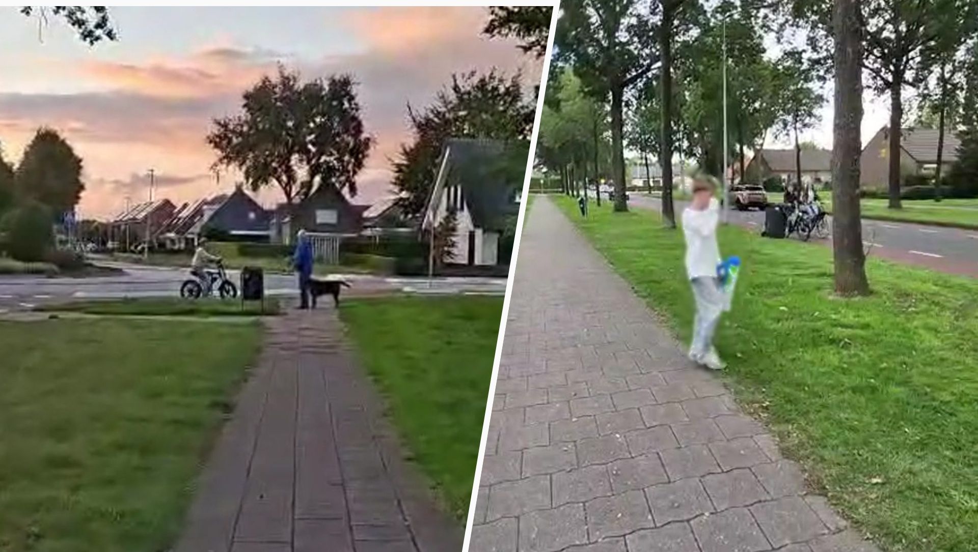 Daphne (31) voelt zich onveilig door jongens op fatbikes: ‘Laat me gewoon met mijn hond lo
