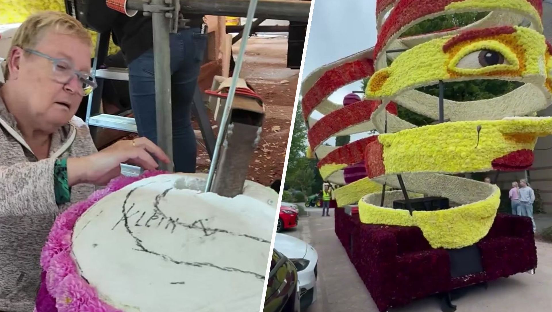 80.000 bloemen en twee draaiende gezichten: hier werkt de Ambachtsbuurt al maanden aan