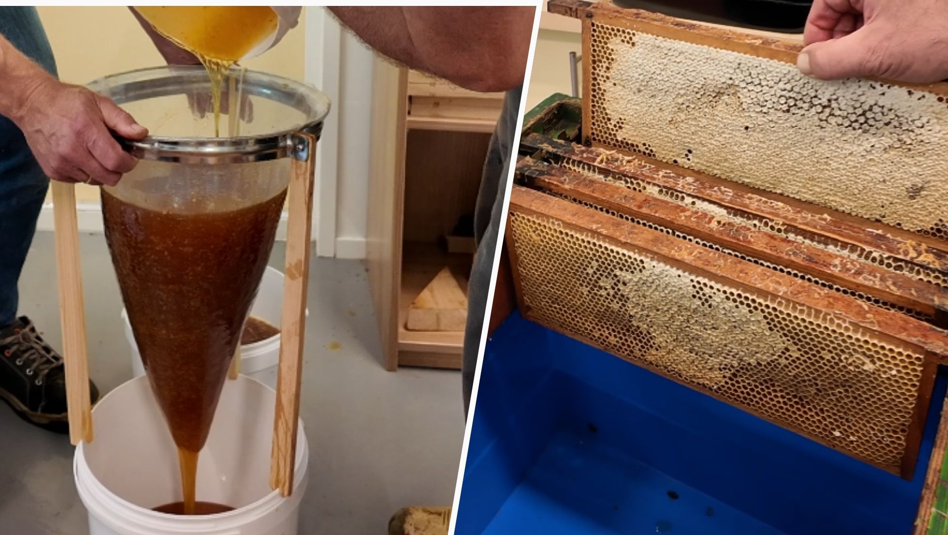 Foto: Zo komt de Wezepsche heidehoning uit de raat: ‘Geen topjaar’