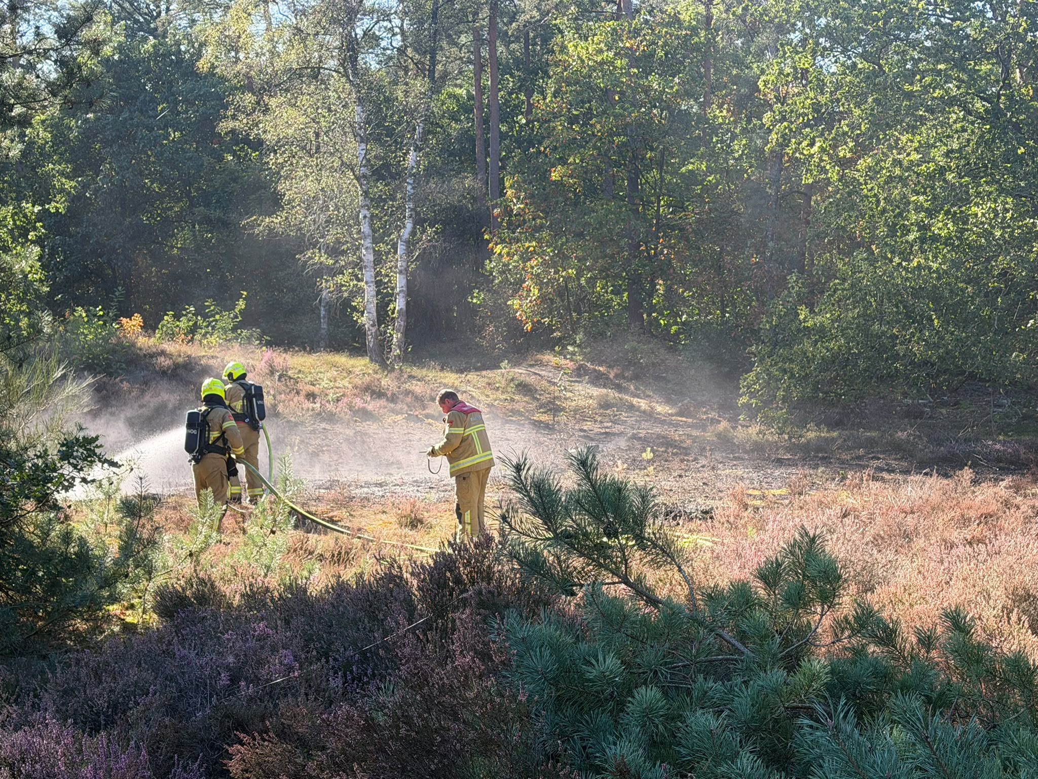 Foto: Kleine heidebrand aan Eperweg snel onder controle