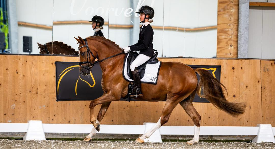 Foto: Ponyclub Klein Maar Dapper pakt prijzen in drie plaatsen