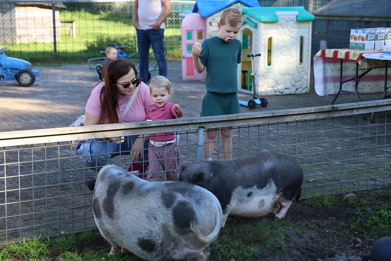 Foto: Gezellige Dierendag bij De Voskuilerhoeve