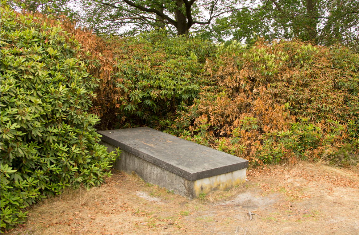 Foto: Cultuurhistorische wandeling over landgoed De Dellen