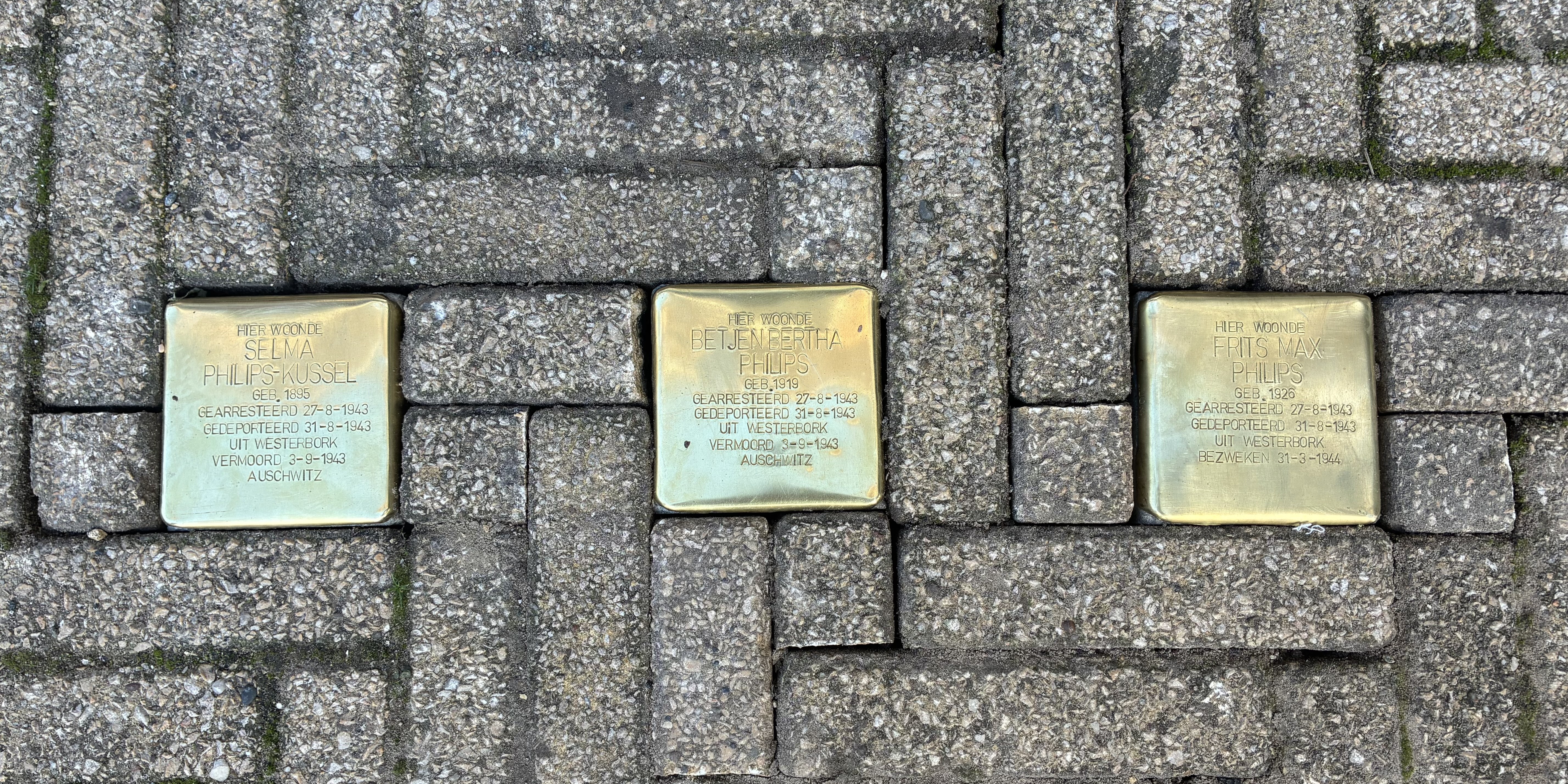 Foto: Eerste struikelstenen onthuld voor Joods gezin Philips: ‘Ze waren Harderwiekers’