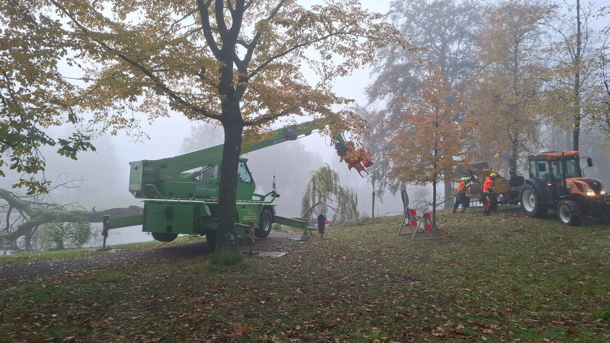 Foto: Omgewaaide treurwilg op de wallen van Elburg weggehaald