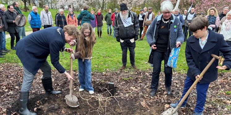 Foto: Vredesboom geplant in Arboretum Belmonte
