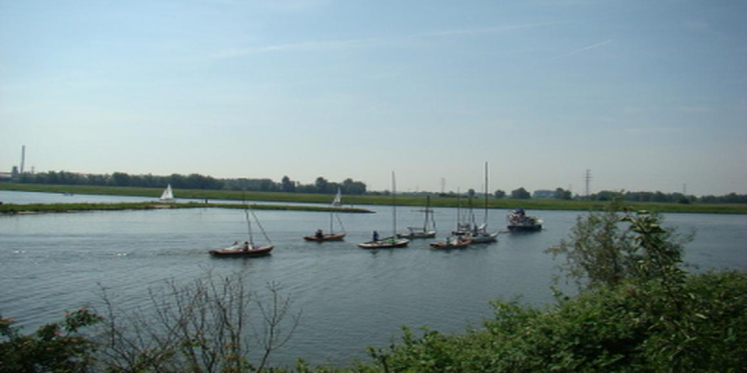 Foto: Rijnrace 2026 op zaterdag 6 juni