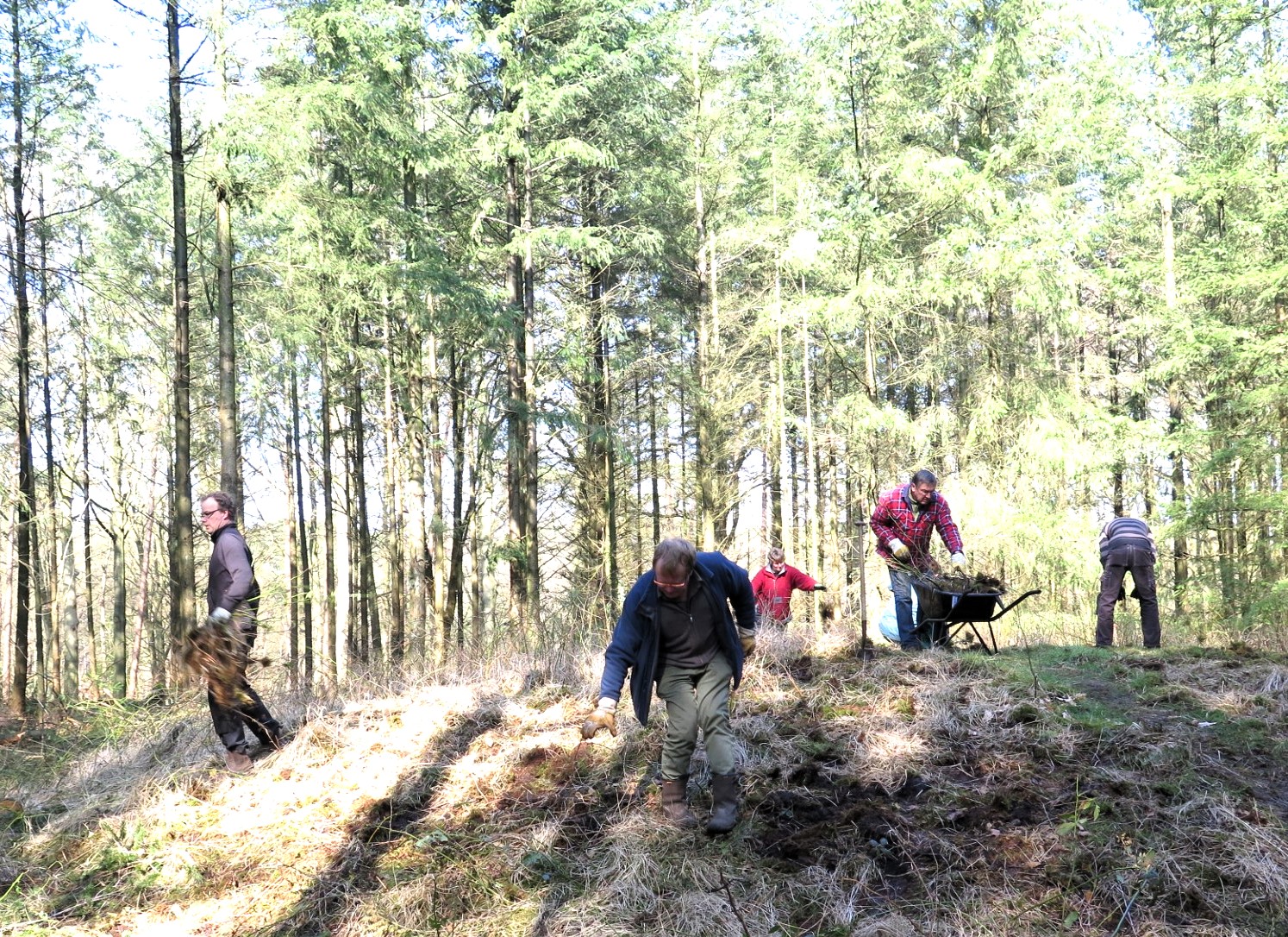Foto: 'Aan de slag met grafheuvels en heide'